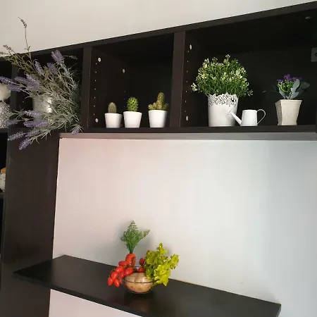 Appartement Dôme Hydra *